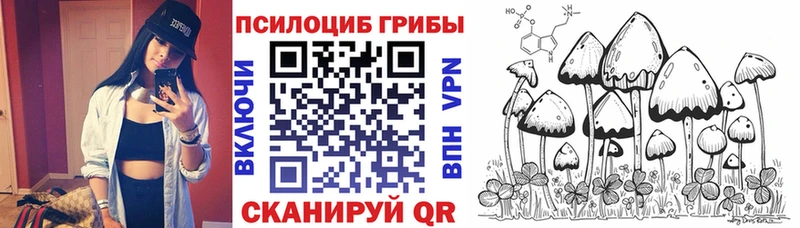 Купить закладки  Малаховка  Галлюциногенные грибы мицелий 